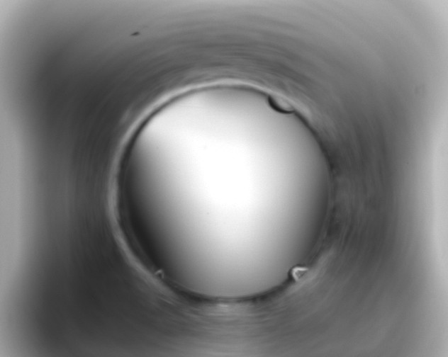 X0000096691518200802121221