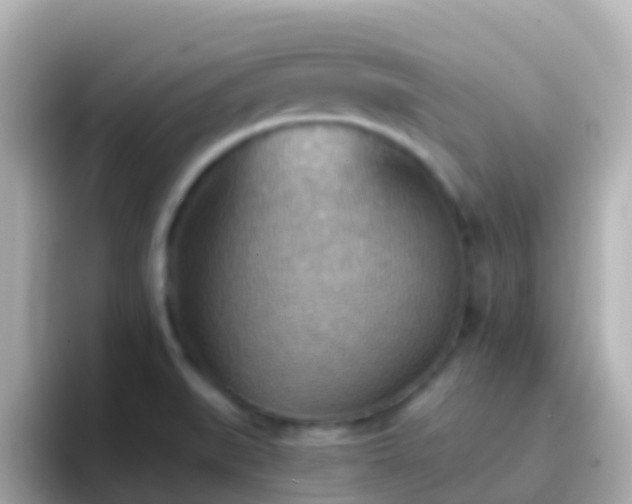 X0000096691519200802121221