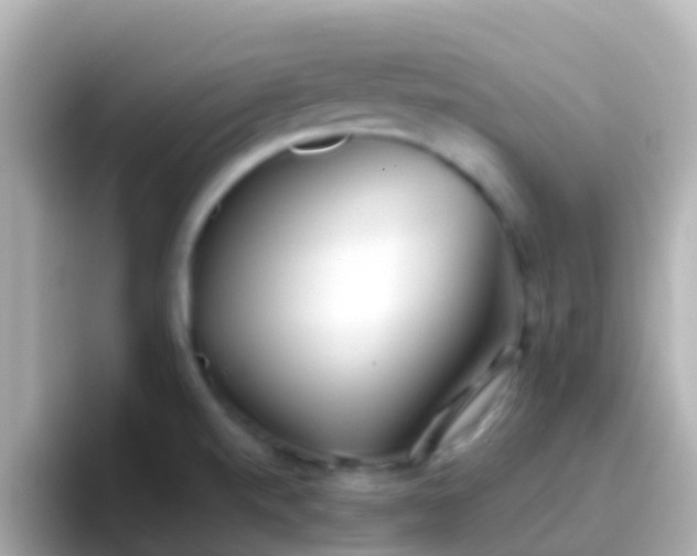 X0000096691520200802121221