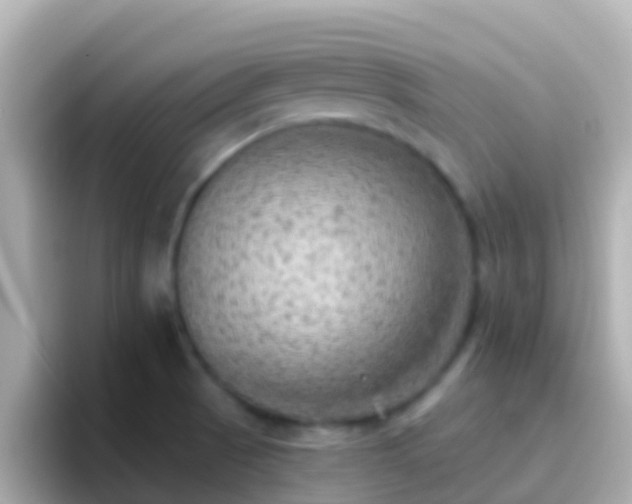 X0000096691521200802121222