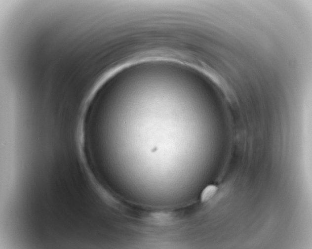 X0000096691523200802121222