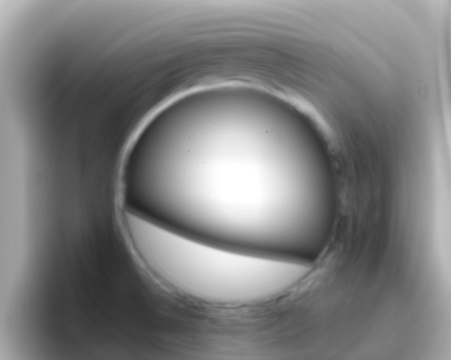 X0000096691524200802121222