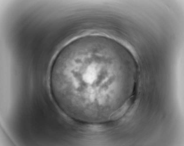 X0000096691525200802121222