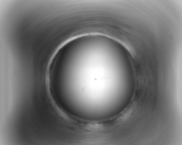 X0000096691526200802121222