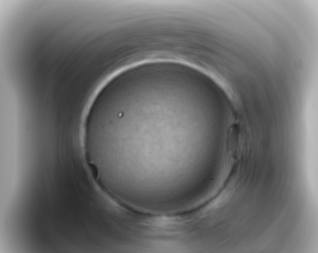 X0000096691527200802121222