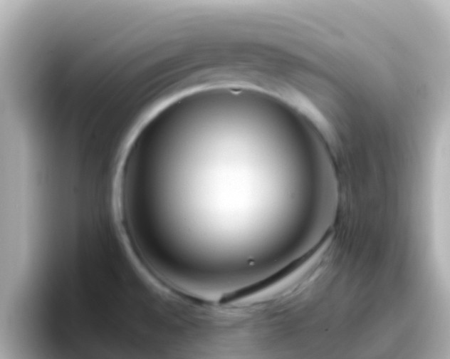 X0000096691528200802121222