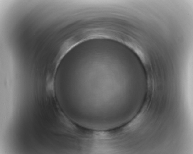 X0000096691529200802121222