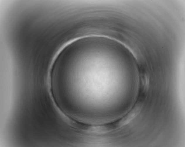 X0000096691531200802121222