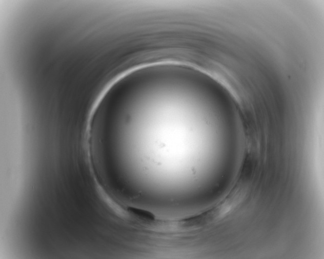 X0000096691532200802121222