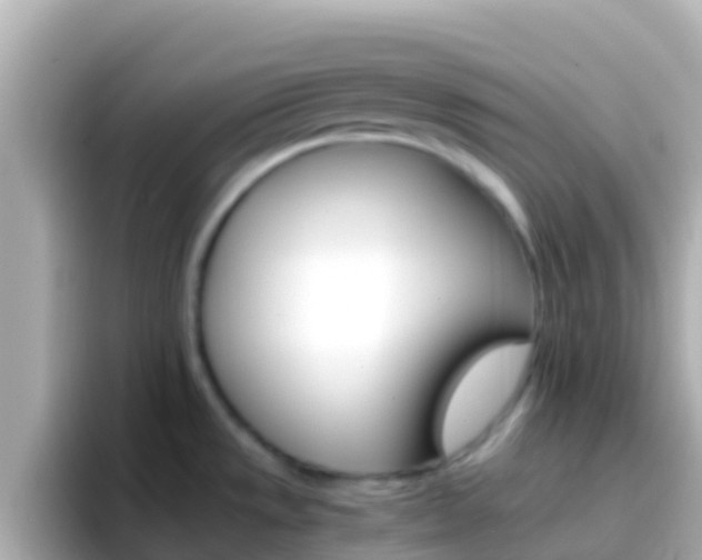 X0000096691533200802121222