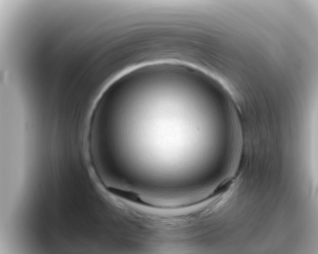 X0000096691534200802121222