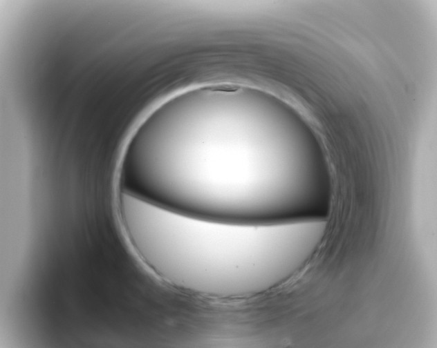 X0000096691536200802121222