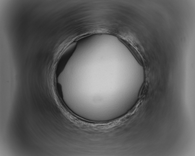 X0000096690001200802191437