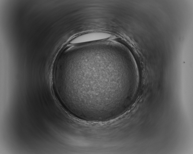 X0000096690002200802191437