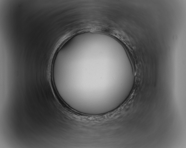 X0000096690003200802191437