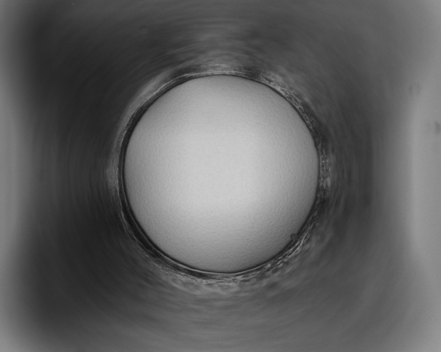 X0000096690004200802191437