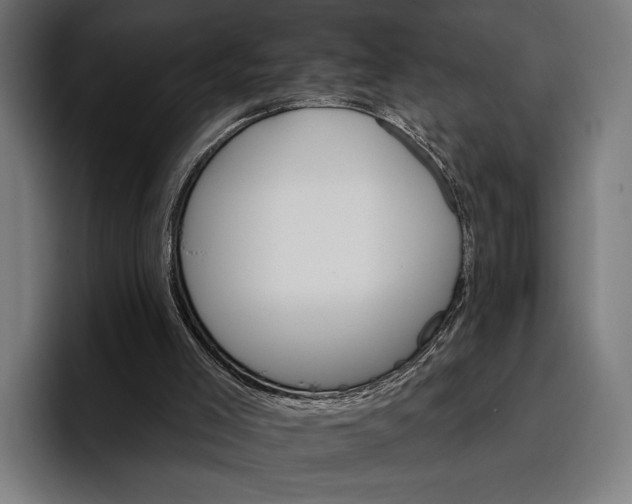 X0000096690005200802191437