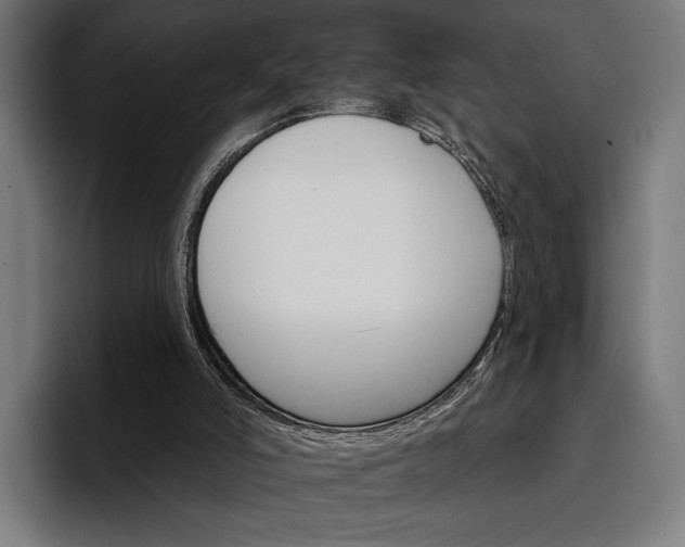 X0000096690006200802191437