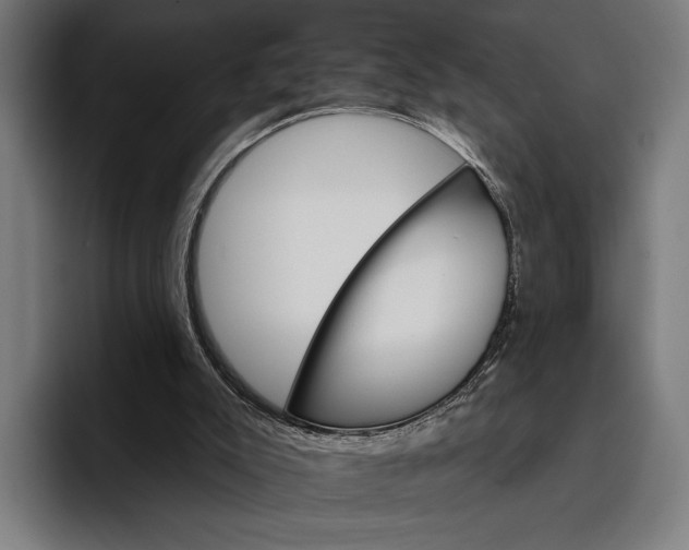 X0000096690007200802191437