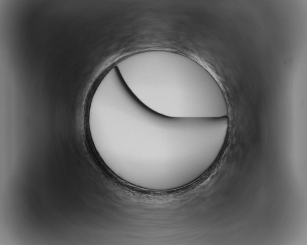 X0000096690008200802191437