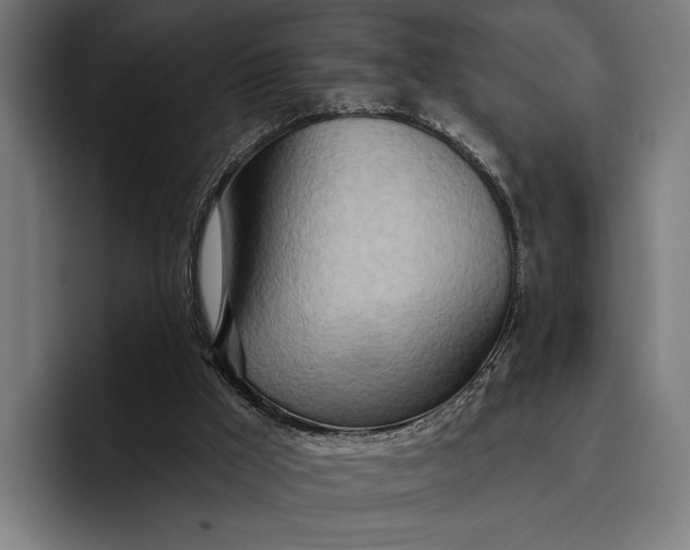 X0000096690009200802191437