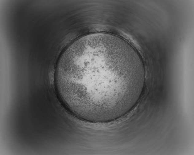 X0000096690010200802191437