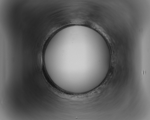 X0000096690011200802191437