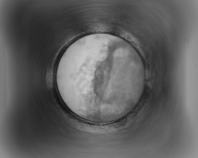 X0000096690012200802191437