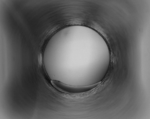 X0000096690013200802191437