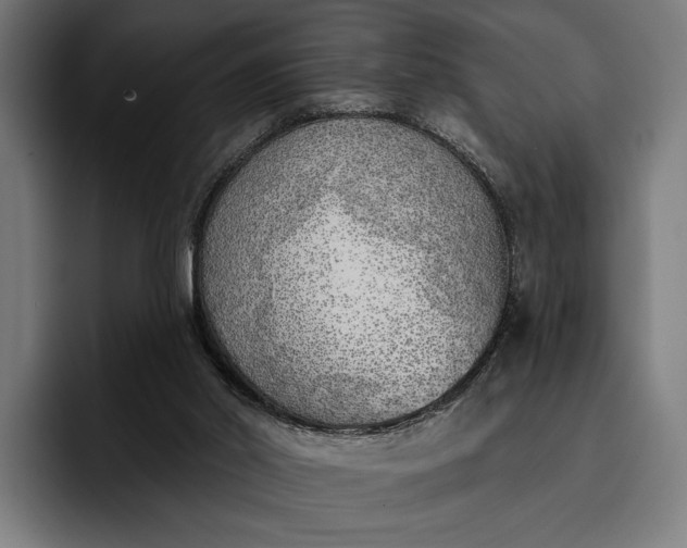 X0000096690014200802191437