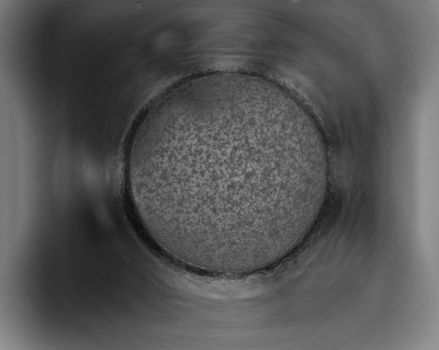 X0000096690016200802191437