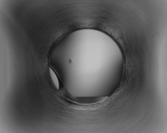 X0000096690017200802191437