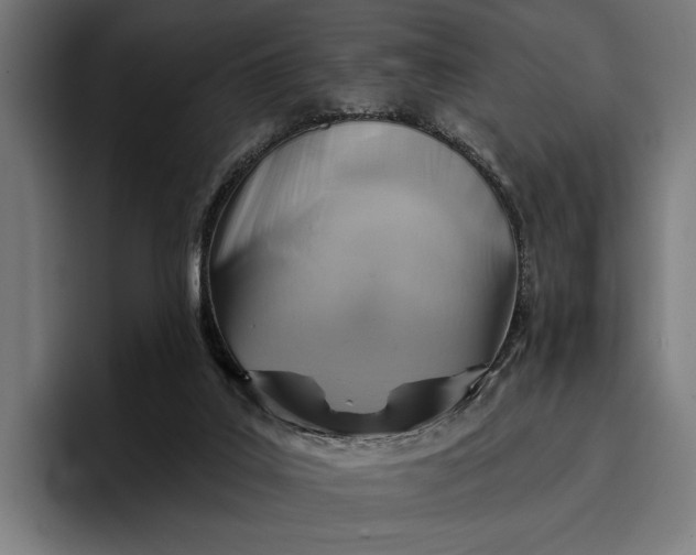 X0000096690019200802191437