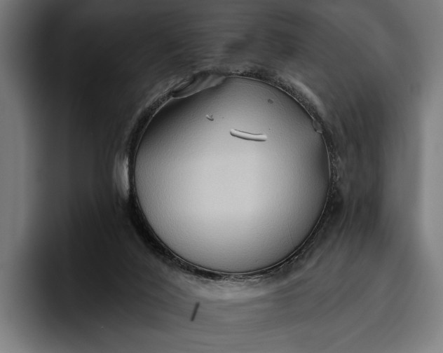 X0000096690020200802191437