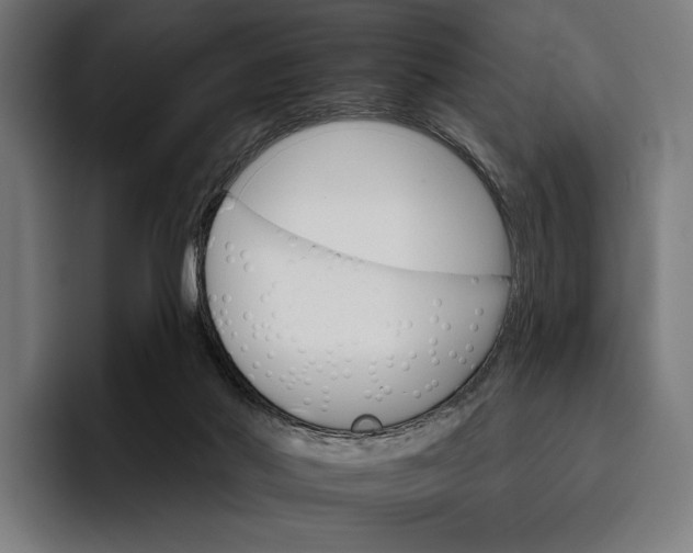 X0000096690022200802191437