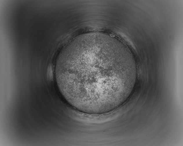 X0000096690026200802191437