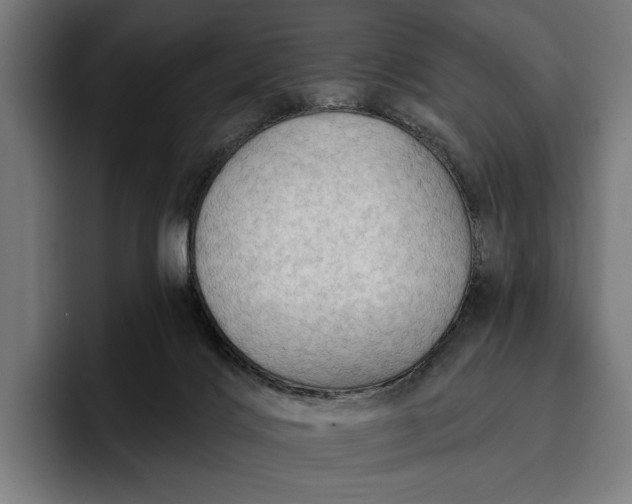 X0000096690028200802191437