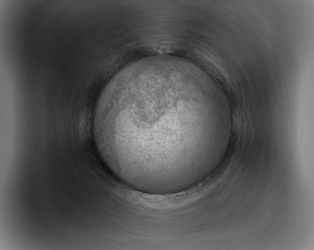 X0000096690030200802191437