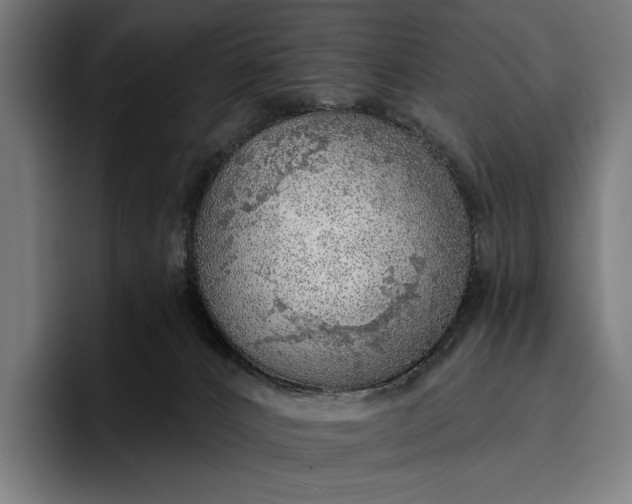 X0000096690032200802191437