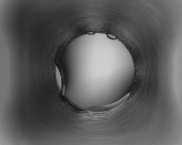 X0000096690033200802191437