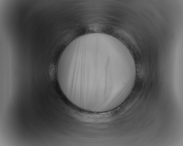 X0000096690036200802191437