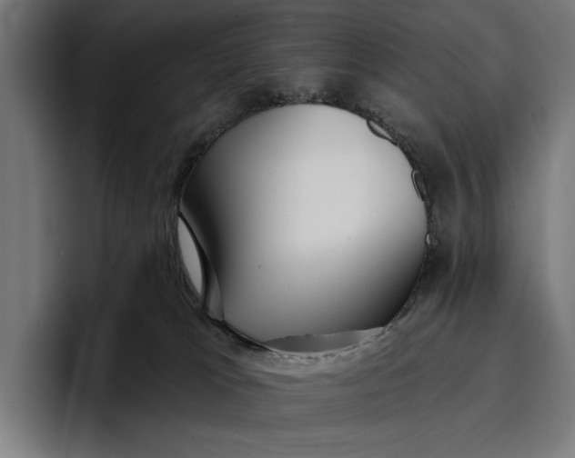 X0000096690037200802191437