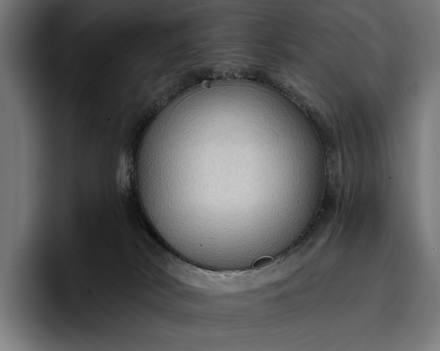 X0000096690038200802191437