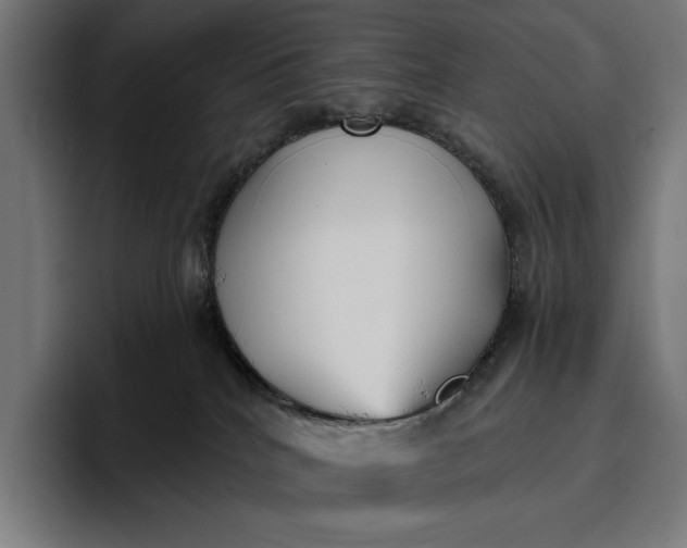 X0000096690040200802191437