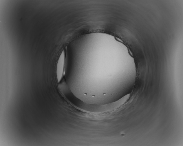 X0000096690041200802191437