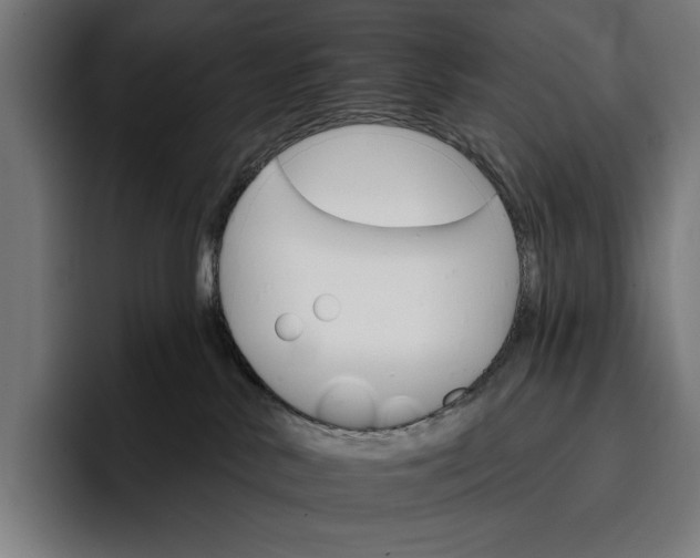 X0000096690042200802191437