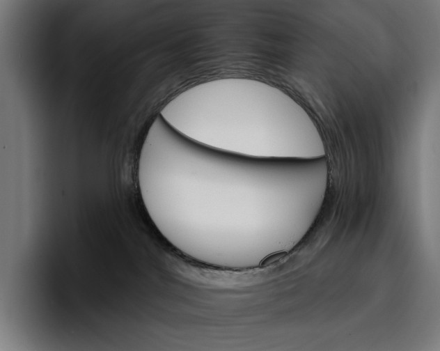 X0000096690044200802191437