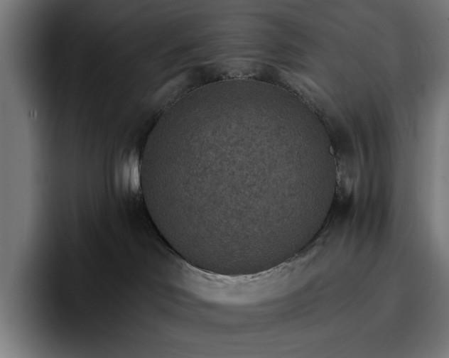 X0000096690046200802191437