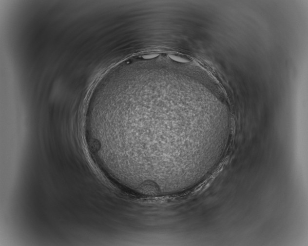 X0000096690049200802191436