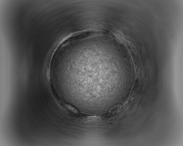 X0000096690050200802191436